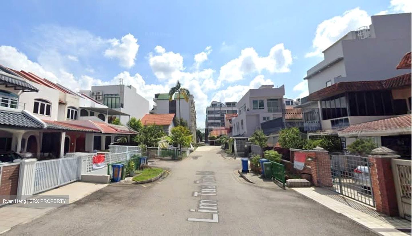 Lim Tua Tow Road (D19), Terrace #560564971